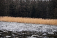 koszalinDSC_0871
