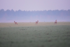 e28