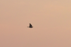 e48