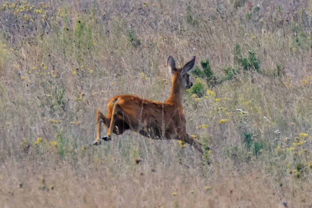 DSC_5083