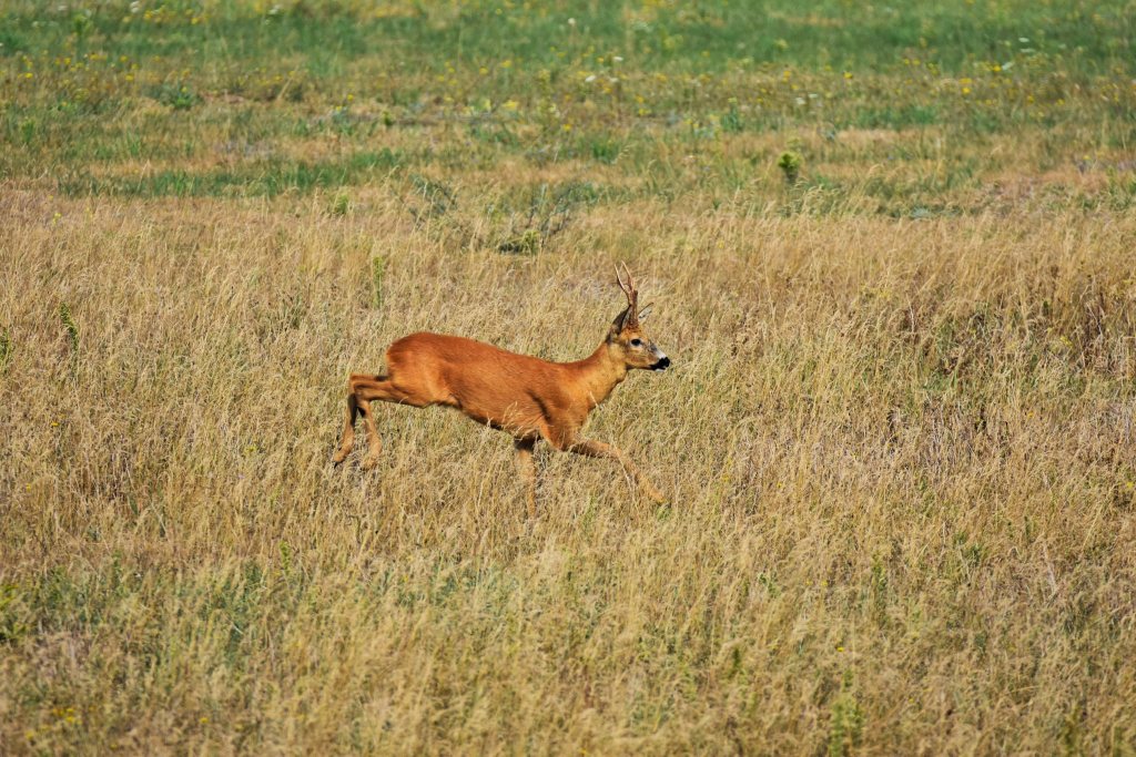 DSC_5104