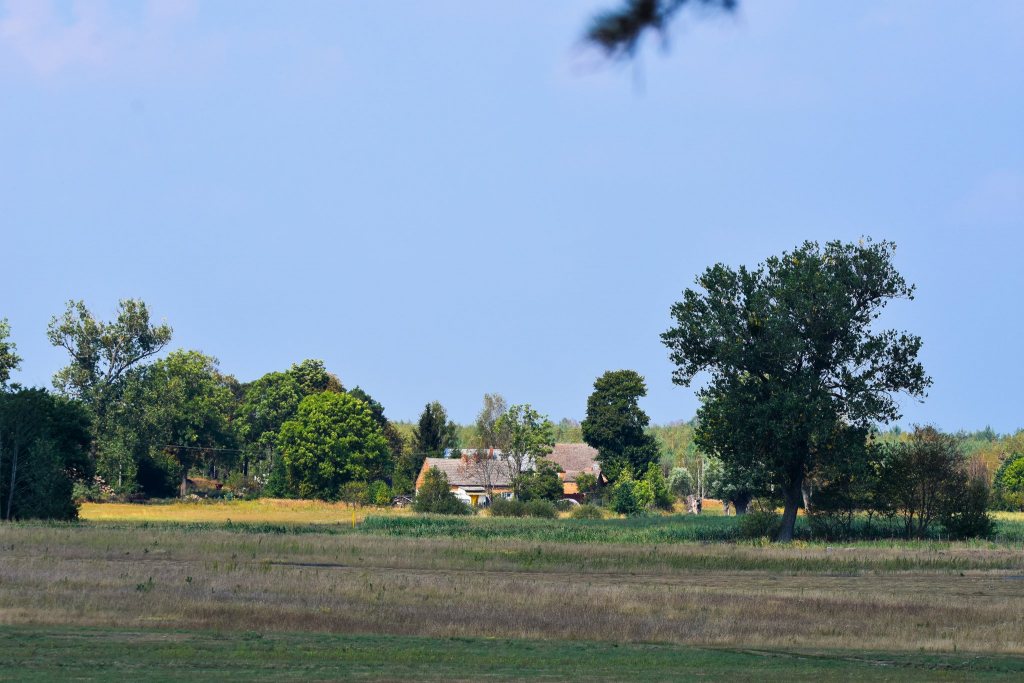 DSC_5129