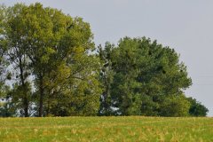 DSC_5146