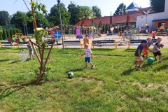 IMG_20240605_095346