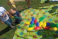 IMG_20240605_103456