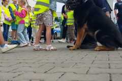 IMG-20250624-WA0003