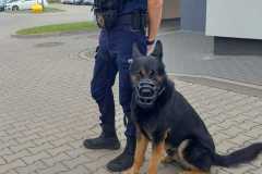 IMG-20250624-WA0017
