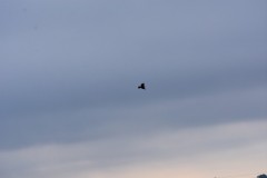2025-08-01-Kunowo13
