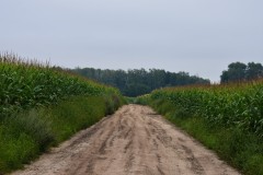 2025-08-01-Kunowo2