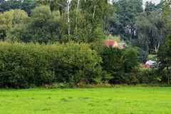2025-08-01-Kunowo24