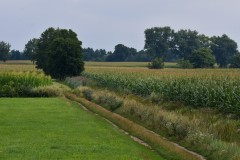 2025-08-01-Kunowo25
