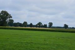 2025-08-01-Kunowo26