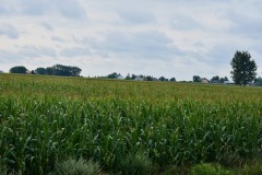 2025-08-01-Kunowo27