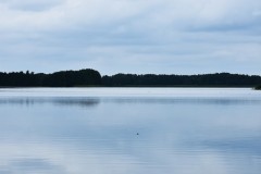 2025-08-01-Kunowo50