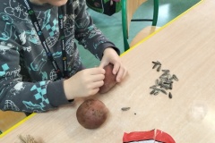 IMG20251022091205