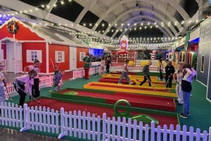 2025 11 17 W fabryce elfów