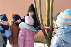 IMG20260202111710