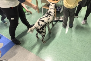 2026 02 16 Pongo u przedszkolaków