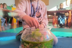 IMG_20260304_093127760_HDR_AE