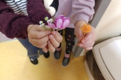 IMG_20251124_080437-1