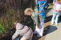 IMG-20260424-WA0017