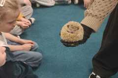 IMG-20260510-WA0005