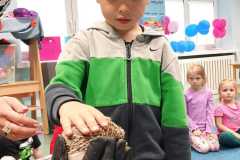 IMG-20260511-WA0008