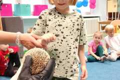IMG-20260511-WA0009