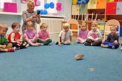 IMG-20260511-WA0011