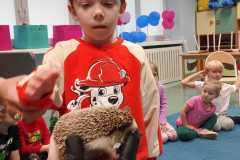 IMG-20260511-WA0012