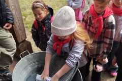 IMG-20260514-WA0009