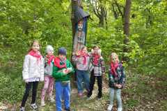 IMG-20260514-WA0011