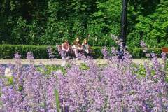 IMG_20260602_093855353