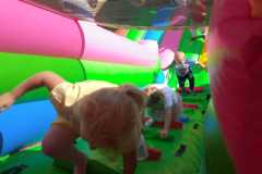 IMG-20260601-WA0016