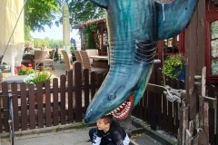 IMG_20250527_104215933_HDR