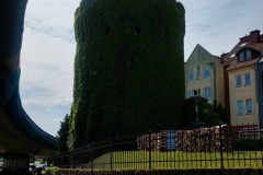 IMG_20250527_105044856_HDR