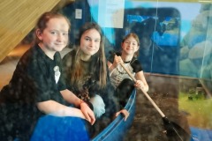 IMG_20250527_120439068