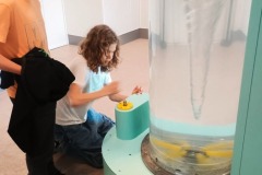 IMG_20250527_121212504